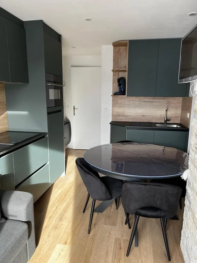 Bel Appartement Ski Aux Pieds La Plagne-Tarentaise